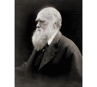 Charles Robert Darwin 1809-1882. naturalista e scrittore inglese. Dopo un ritratto della fotografa inglese Julia Margaret Cameron. Stampa poster di Ken Welsh (12 x 15)