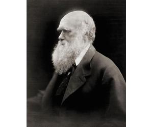 Charles Robert Darwin 1809-1882. naturalista e scrittore inglese. Dopo un ritratto della fotografa inglese Julia Margaret Cameron. Stampa poster di Ken Welsh (12 x 15)