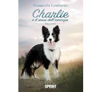 Charlie e il senso dell’amicizia