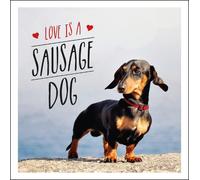Charlie Ellis Love is a Sausage Dog (Copertina rigida)