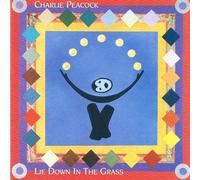 Charlie Peacock - Lie Down in the Grass