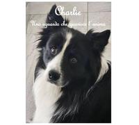 Charlie - Uno sguardo che guarisce l'anima
