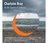Bray/ Elder/ Schaufer/ Wood – At The Speed Of Stillness