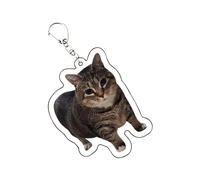 Charm Gatto per Borsa,Acrilico Portachiavi Gatto | Ciondolo da Collezione Ornamento Moda Personaggio Animale per Ragazzi Adulti Coppie Amiche Borsa Zaino Scuola