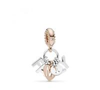 Pandora Charm pendente in argento Famiglia perfetta 787785CZ