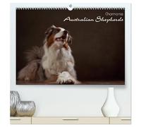 Charmante Australian Shepherds (hochwertiger Premium Wandkalender 2026 DIN A2 quer), Kunstdruck in Hochglanz: Australian Shepherds im Portrait