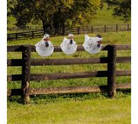 Charming 3PCS Gallo Decorazioni Decorazioni in Resina Ornamenti per Giardino e B