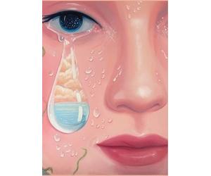 Charuka Arora Gull The Power of She 2025 (Edition1st) (Copertina rigida)