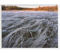 Chased by the Light: A 90-Day Journey: Revisited After the Storm