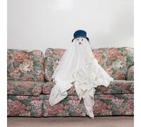 Chastity Belt Time to Go Home (Vinyl LP) 12" Album