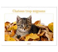 Chatons trop mignons (Calendrier mural 2027 DIN A3 vertical), CALVENDO calendrie
