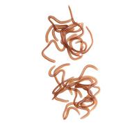 Chatonshen 1 Scatola Esca di Vermi Artificiali Esche Artificiali Lure Morbida Gomma Profumata Soft per Pesca in Acqua Dolce E Salata Adatta a Collezionisti E