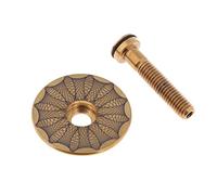 Chatonshen Headset Top cap M6 Copertura Vite Superiore Testa Manubrio Kit Copri Manubrio Bicicletta Impermeabile in Lega di Titanio Leggero Adatto per Biciclette, Dorato -Sky