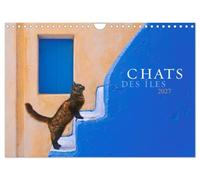 Chats des îles (Calendrier mural 2027 DIN A4 vertical), CALVENDO calendrier mensuel: De belles photos de la magie et de l'âme des chats dans les îles grecques