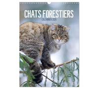 Chats forestiers (Calendrier mural 2026 DIN A3 horizontal), CALVENDO calendrier mensuel: Chaque mois un magnifique et exceptionnel portrait de félins farouches