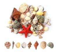ChAusa 200g Conchiglie di mare miste,Conchiglie Decorative,Naturale Marine Conchiglia,Conchiglie Miste con Stelle Marine per Riempitivi di Vaso Tema da Spiaggia Decorazioni per Matrimoni