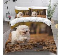 CHCHNXY Copripiumino Singolo 135x200cm Cane Set di Biancheria da Letto Con Cerniera,Copripiumini Letto Singolo in Morbido Microfibra Con 2 Federa 50x80cm,Per Bambino Bambina