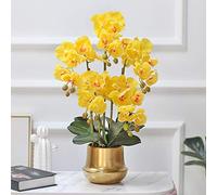 CHCWR Orchid Flowers Artificiale Phalaenopsis Fallo Fiore con Ceramica VASAGGIO Decorazioni FINORE FOWERS SEGGI