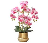 CHCWR Orchid Flowers Artificiale Phalaenopsis Fallo Fiore con Ceramica VASAGGIO Decorazioni FINORE FOWERS SEGGI