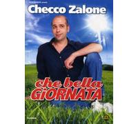 Che bella giornata (DVD) Zalone Papaleo
