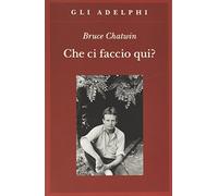 Che ci faccio qui?