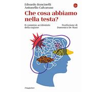 Che cosa abbiamo nella testa? Il cammino accidentato della ragione