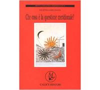 Che cosa è la questione meridionale