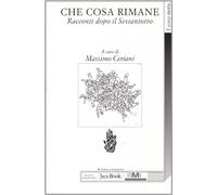 Che cosa rimane. Racconti dopo il Sessantotto