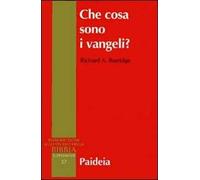 Che cosa sono i vangeli?