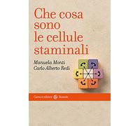 Che cosa sono le cellule staminali