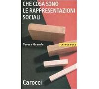 Che cosa sono le rappresentazioni sociali