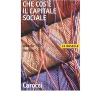Che cos'è il capitale sociale
