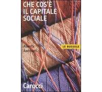 Che cos'è il capitale sociale