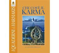Che cos'è il Karma