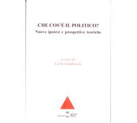 Che cos'è il politico?