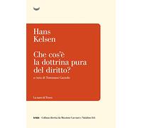 Che cos'è la dottrina pura del diritto