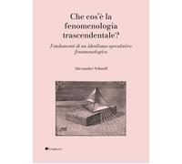 Che cos'è la fenomenologia trascendentale? Fondamenti di un ideal