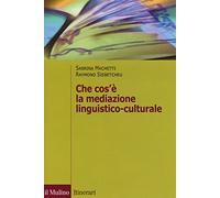 Che cos'è la mediazione linguistico culturale