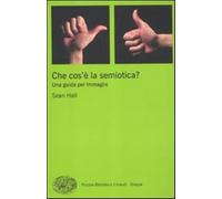 Che cos'è la semiotica? Una guida per immagini. Ediz. illustrata - Hall Sean