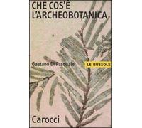 Che cos'è l'archeobotanica