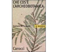 Che cos'è l'archeobotanica