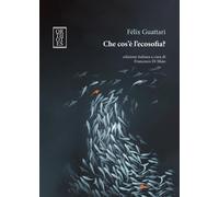 Che cos'è l'ecosofia? [Paperback] [May 30, 2025] Guattari, Félix and Di Maio, Fr