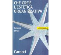 Che cos'è l'estetica organizzativa