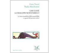 Che cos'è lo sviluppo sostenibile?