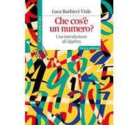 Che cos'è un numero? Una introduzione all'algebra. Nuova ediz.