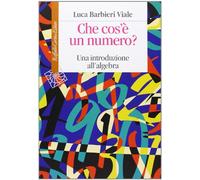 Che cos'è un numero. Un'introduzione all'algebra