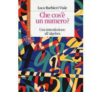 Che cos'è un numero. Un'introduzione all'algebra - Barbieri Viale Luca