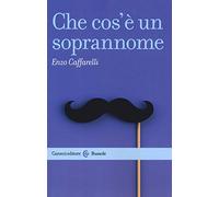 Che cos'è un soprannome