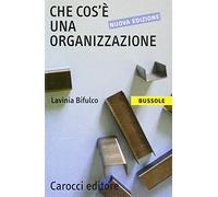 Che cos'è una organizzazione