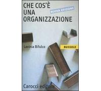 Che cos'è una organizzazione